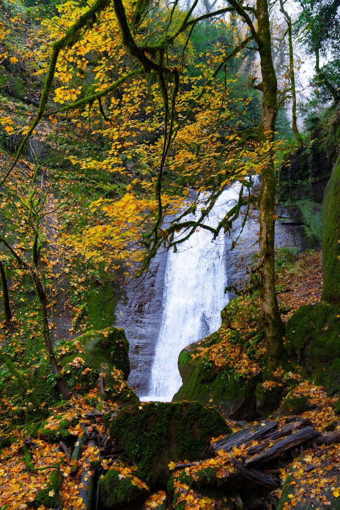 A captivating waterfall amidst vibrant autumn foliage in a tranquil forest setting.